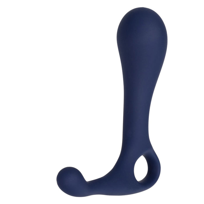 Viceroy Direct Prostate Probe