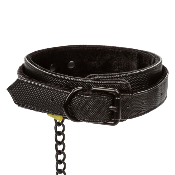 Boundless Collar & Leash Black