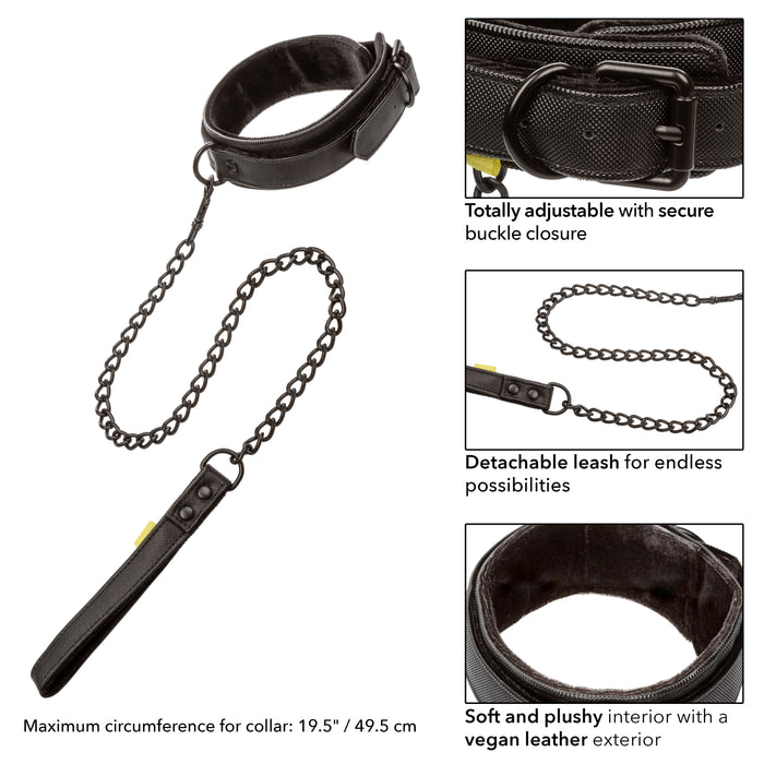 Boundless Collar & Leash Black