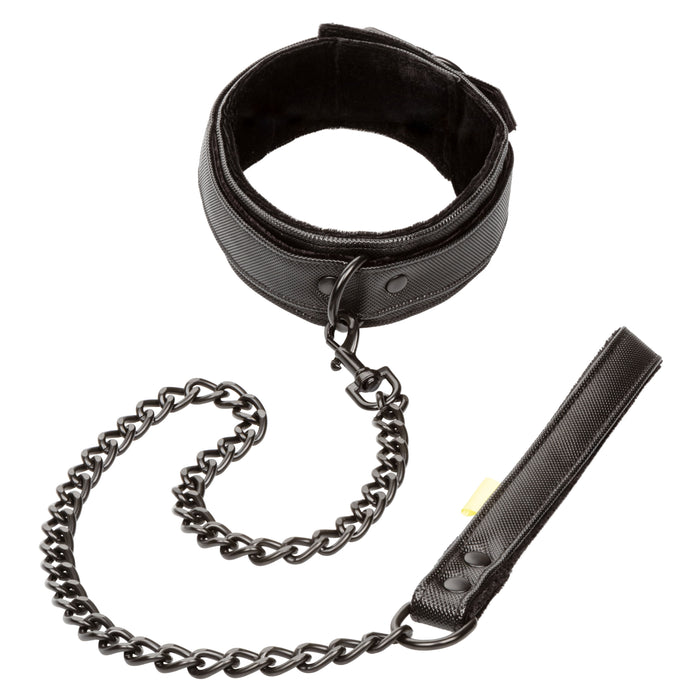 Boundless Collar & Leash Black