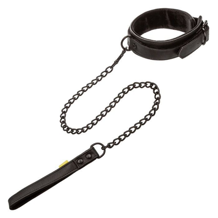 Boundless Collar & Leash Black